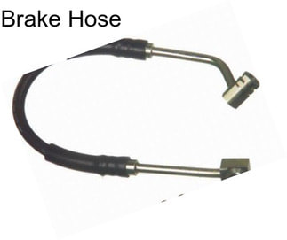 Brake Hose