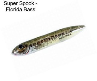 Super Spook - Florida Bass