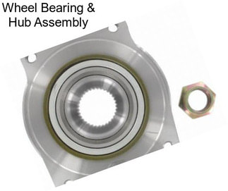 Wheel Bearing & Hub Assembly