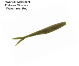 PowerBait MaxScent Flatnose Minnow - Watermelon Red