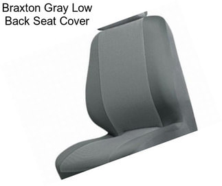 Braxton Gray Low Back Seat Cover