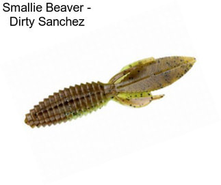 Smallie Beaver - Dirty Sanchez