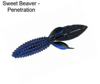 Sweet Beaver - Penetration