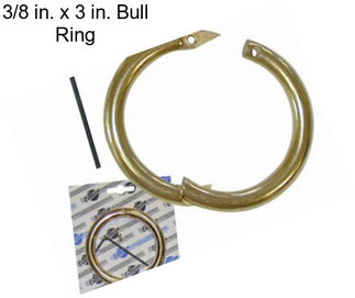 3/8 in. x 3 in. Bull Ring