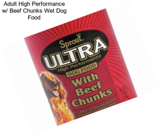 Adult High Performance w/ Beef Chunks Wet Dog Food