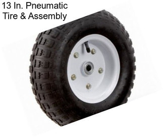 13 In. Pneumatic Tire & Assembly