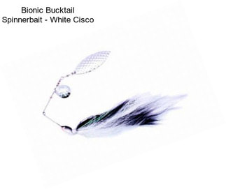 Bionic Bucktail Spinnerbait - White Cisco