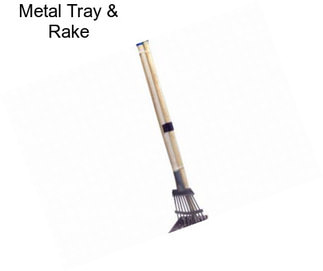 Metal Tray & Rake
