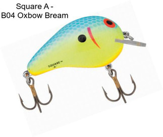 Square A - B04 Oxbow Bream