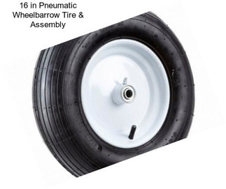 16 in Pneumatic Wheelbarrow Tire & Assembly