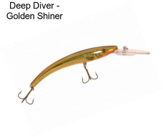 Deep Diver - Golden Shiner