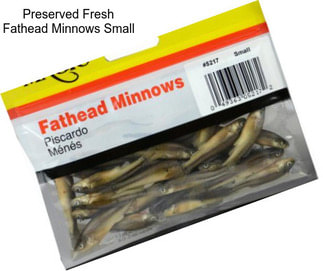 Preserved Fresh Fathead Minnows Small