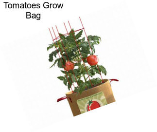 Tomatoes Grow Bag