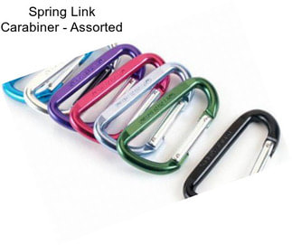 Spring Link Carabiner - Assorted