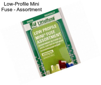 Low-Profile Mini Fuse - Assortment