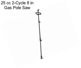25 cc 2-Cycle 8 in Gas Pole Saw