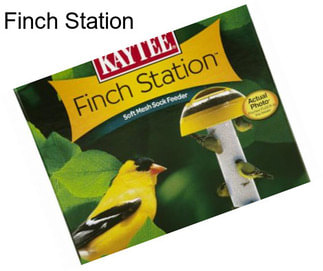 Finch Station