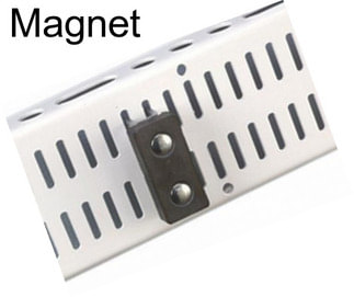 Magnet