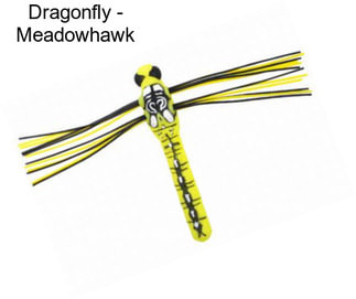 Dragonfly - Meadowhawk