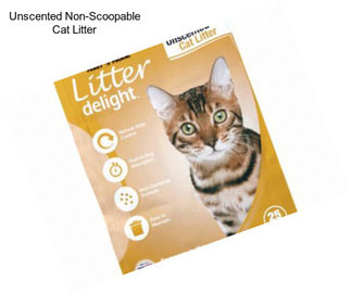 Unscented Non-Scoopable Cat Litter