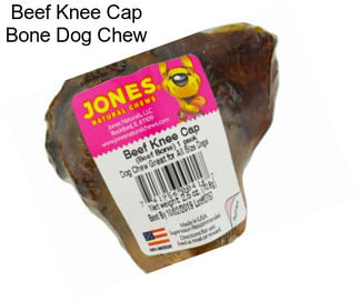Beef Knee Cap Bone Dog Chew