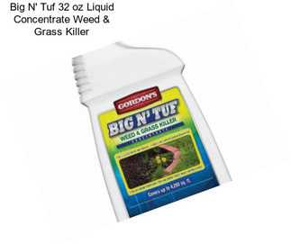 Big N\' Tuf 32 oz Liquid Concentrate Weed & Grass Killer