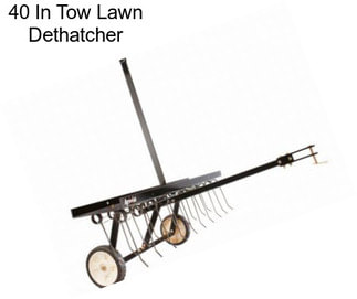 40 In Tow Lawn Dethatcher