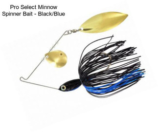 Pro Select Minnow Spinner Bait - Black/Blue