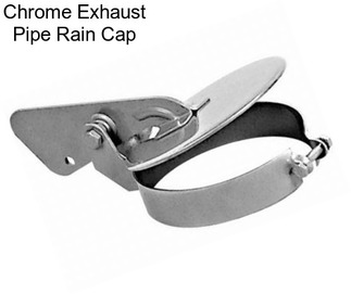 Chrome Exhaust Pipe Rain Cap