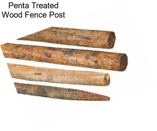 Penta Treated Wood Fence Post