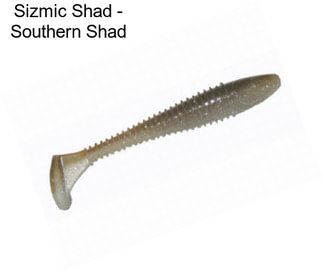 Sizmic Shad - Southern Shad
