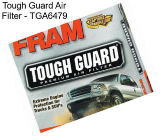 Tough Guard Air Filter - TGA6479