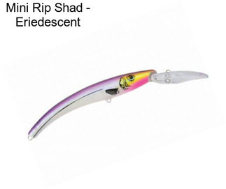 Mini Rip Shad - Eriedescent