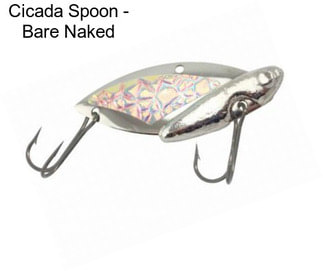 Cicada Spoon - Bare Naked