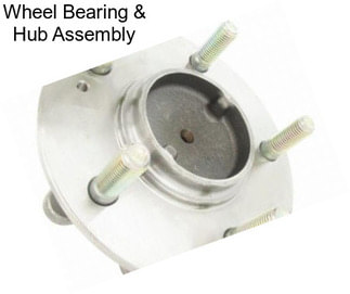 Wheel Bearing & Hub Assembly