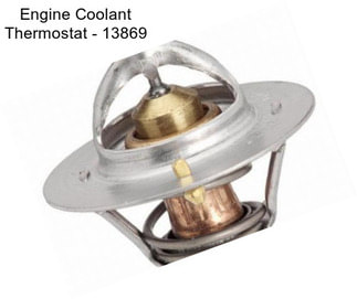 Engine Coolant Thermostat - 13869