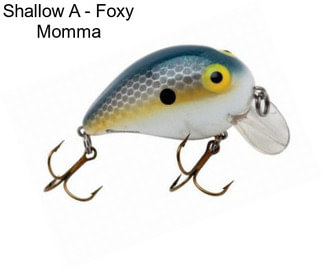 Shallow A - Foxy Momma