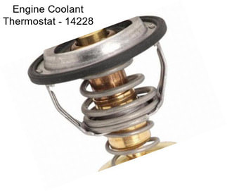 Engine Coolant Thermostat - 14228