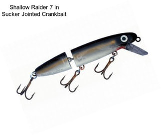 Shallow Raider 7 in Sucker Jointed Crankbait