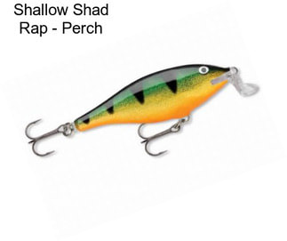 Shallow Shad Rap - Perch