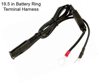 19.5 in Battery Ring Terminal Harness