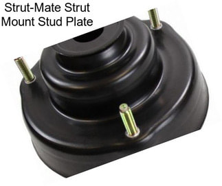 Strut-Mate Strut Mount Stud Plate