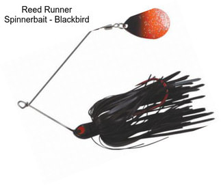 Reed Runner Spinnerbait - Blackbird