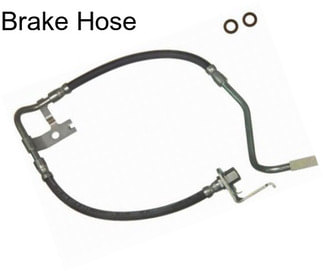 Brake Hose