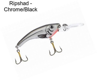Ripshad - Chrome/Black