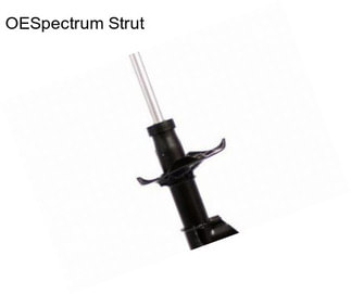 OESpectrum Strut