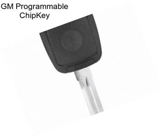 GM Programmable ChipKey