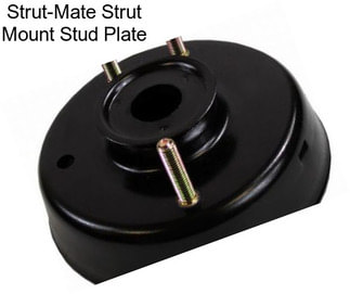 Strut-Mate Strut Mount Stud Plate