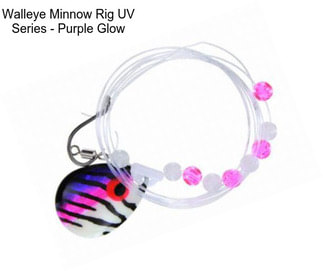 Walleye Minnow Rig UV Series - Purple Glow