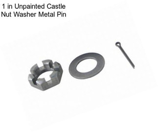 1 in Unpainted Castle Nut Washer Metal Pin